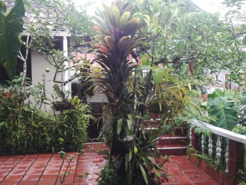 Hostal los Yutzos